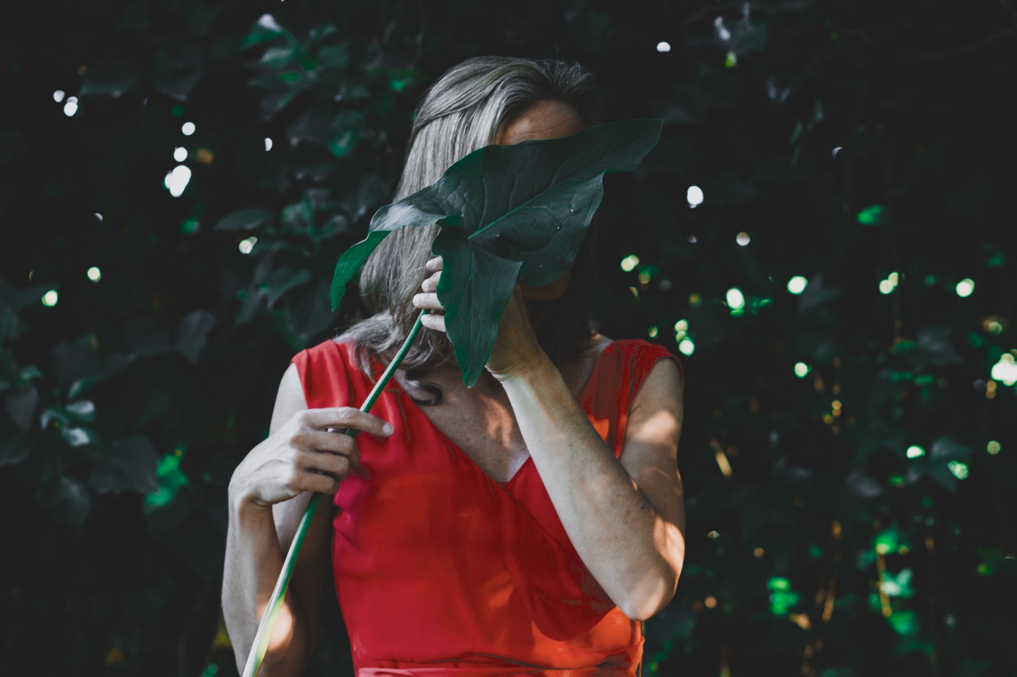 სიახლე 1